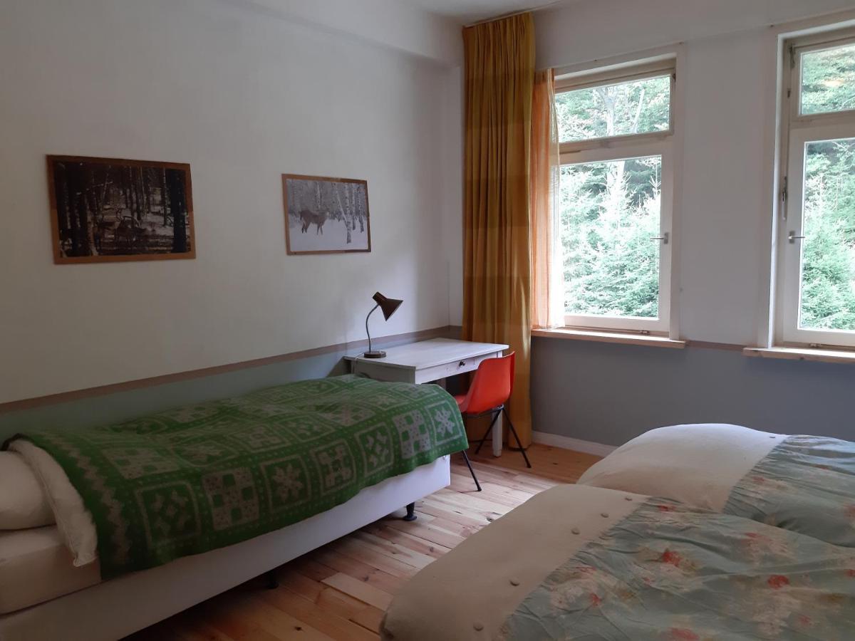 Das Okerhaus Vegetarische B&B Mit Halbpension Altenau  Eksteriør bilde